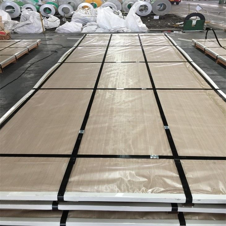 stainless steel plate (10)