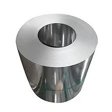 Bobine din oțel inoxidabil 310