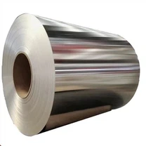 Bobina din oțel inoxidabil ASTM202
